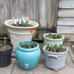 Exercise 1.1 (1 of 4) Exercise 1.1 (1 of 4)