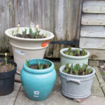 Exercise 1.1 (2 of 4) Exercise 1.1 (2 of 4)