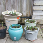 Exercise 1.1 (3 of 4) Exercise 1.1 (3 of 4)