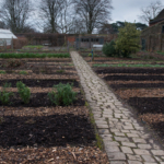 eyv assignment1 part 2 (150 of 98)