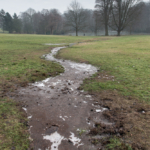 oca walking (47 of 64)