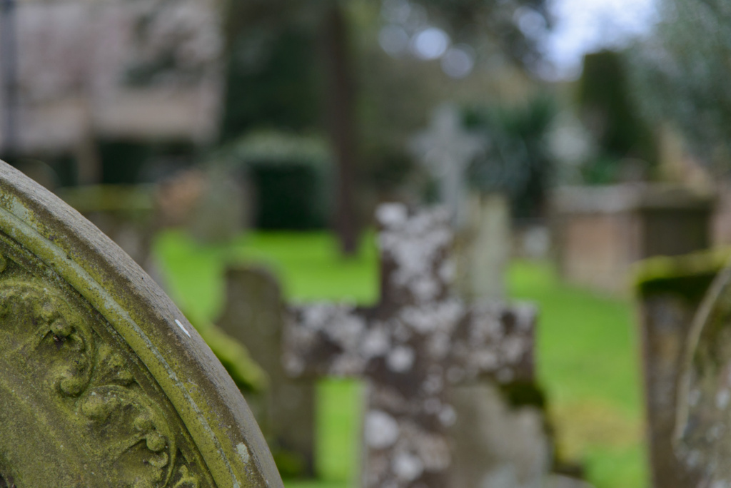 NIKON D800  f/4 1/125sec 120mm ISO-640