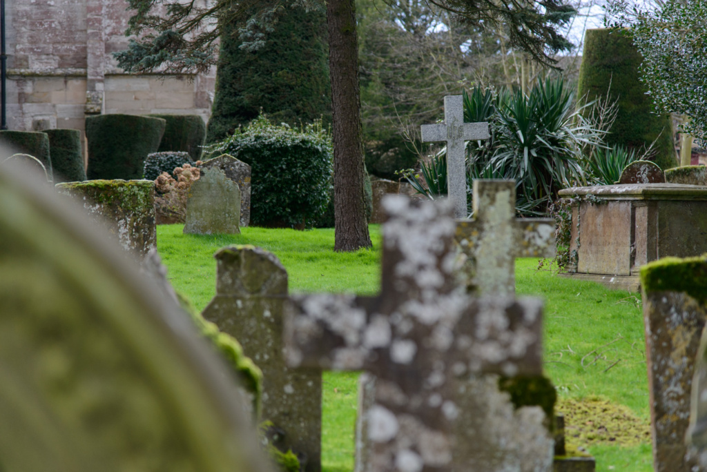 NIKON D800  f/4 1/125sec 120mm ISO-640