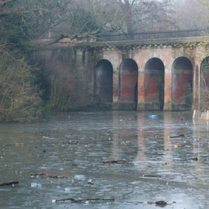 oca-walking-87-of-64-1 eyv assignment1 part 2 (187 of 98)